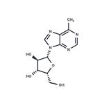 6-Methyl-9-(beta-D-xylofuranosyl)purine