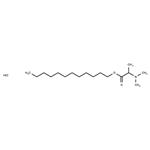 Dodecyl 2-(N,N-dimethylamino)propionate Hydrochloride