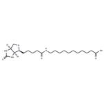 (+)-Biotin-SLC