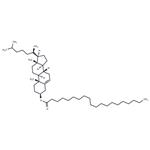 Cholesteryl Arachidate