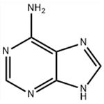 Adenine pictures