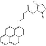 SucciniMidyl 1-Pyrenebutanoate