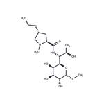 Lincomycin