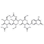 4-Methylumbelliferyl-β-D-N,N',N''-Triacetylchitotrioside