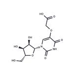 Uridine ? 5-oxyacetic acid