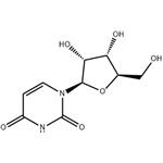 58-96-8 Uridine