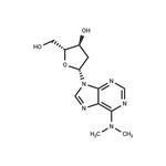 2’-Deoxy-N6,N6-dimethyladenosine