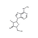 2’-Fluoro-2’-deoxy-N6-methylarabinoadenosine