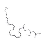 N-Arachidonoyl-3-hydroxy-γ-Aminobutyric Acid