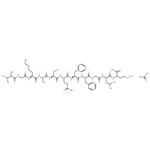 Hemokinin 1 (human) acetate(491851-53-7 free base)