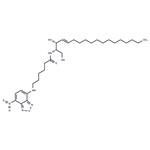 C6 NBD Ceramide