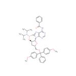 5’-DMTr-3’dA(Bz)-methyl ? phosphonamidite