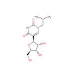 N1-(2-Methyl)propyl ? pseudouridine pictures