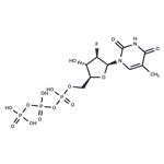 Clevudine triphosphate