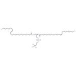 1,2-Dierucoyl-sn-glycero-3-PC