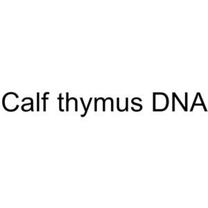 Calf thymus DNA