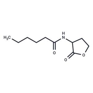 N-hexanoyl-DL-Homoserine lactone