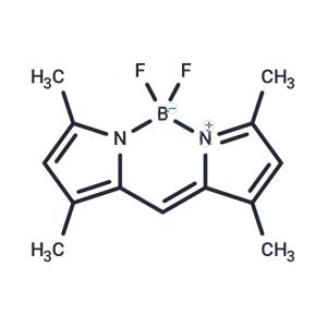 BODIPY 505/515