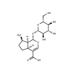 8-Epideoxyloganic acid