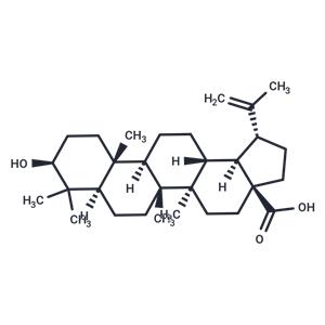 Betulinic acid