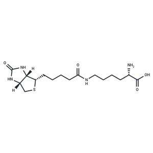 Biocytin