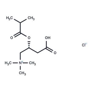 Isobutyryl-L-carnitine chloride