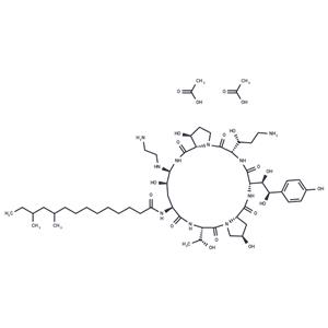 Caspofungin Acetate