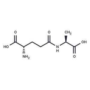 γ-L-Glutamyl-L-alanine