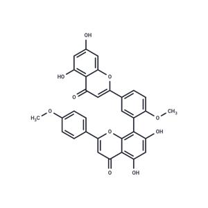 ISOGINKGETIN