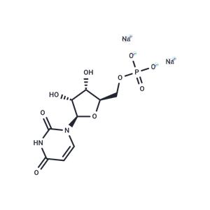 Uridine 5'-monophosphate disodium salt