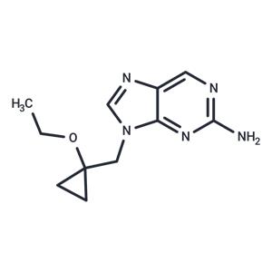 Besifovir PM