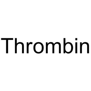 Thrombin (MW 37kDa)