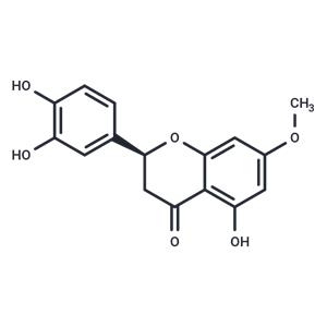 7-O-Methyleriodictyol