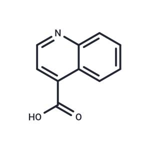 4-Carboxyquinoline