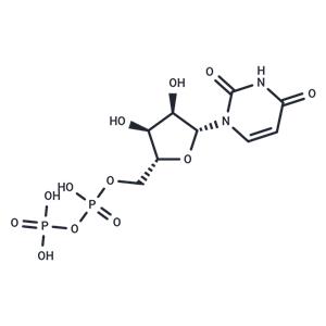 Uridine 5'-diphosphate