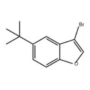 3-bromo-5-tert-butyl-1-benzofuran