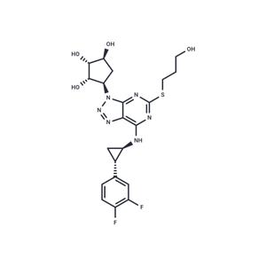 Antiplatelet agent 2