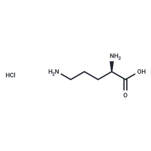 D-Ornithine hydrochloride