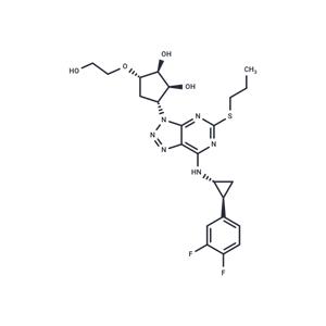 Ticagrelor