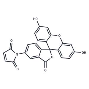 Fluorescein-5-maleimide