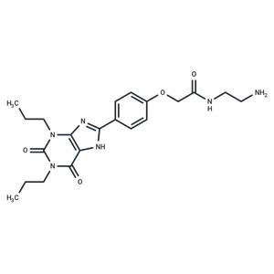 Xanthine amine congener