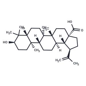 Epibetulinic acid