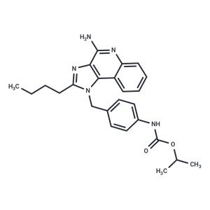 TLR7 agonist 16