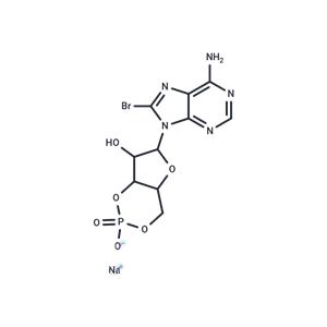 8-Bromo-cAMP sodium salt