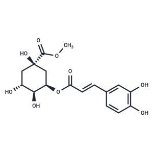 Neochlorogenic acid methyl ester