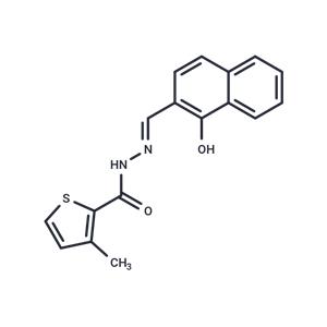 PCNA-I1