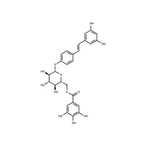 Resveratrol 4'-(6-galloylglucoside)