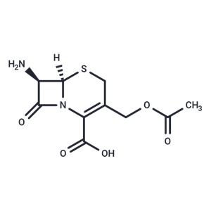 7-Aminocephalosporanic acid