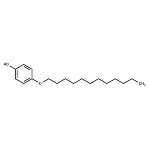 4-N-Dodecyloxyphenol