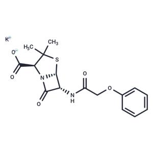 Penicillin V Potassium